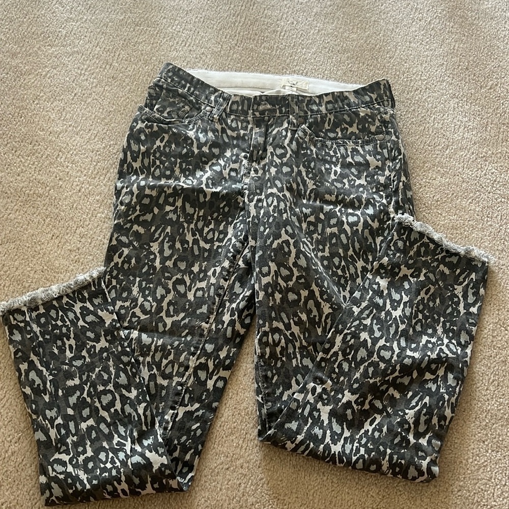 Printed Dress Pants
